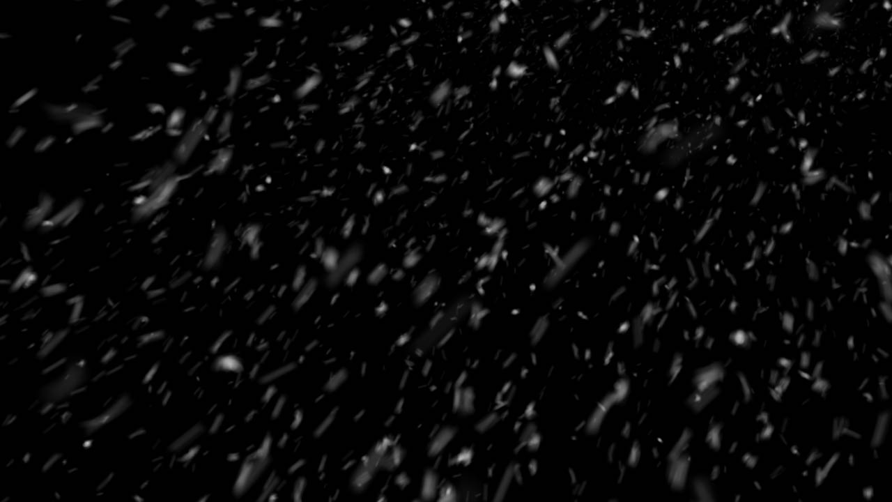 Windy Snow CLOSE 004