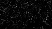 Windy Snow CLOSE 006