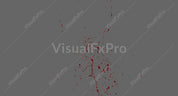 Blood Splatter Front 09