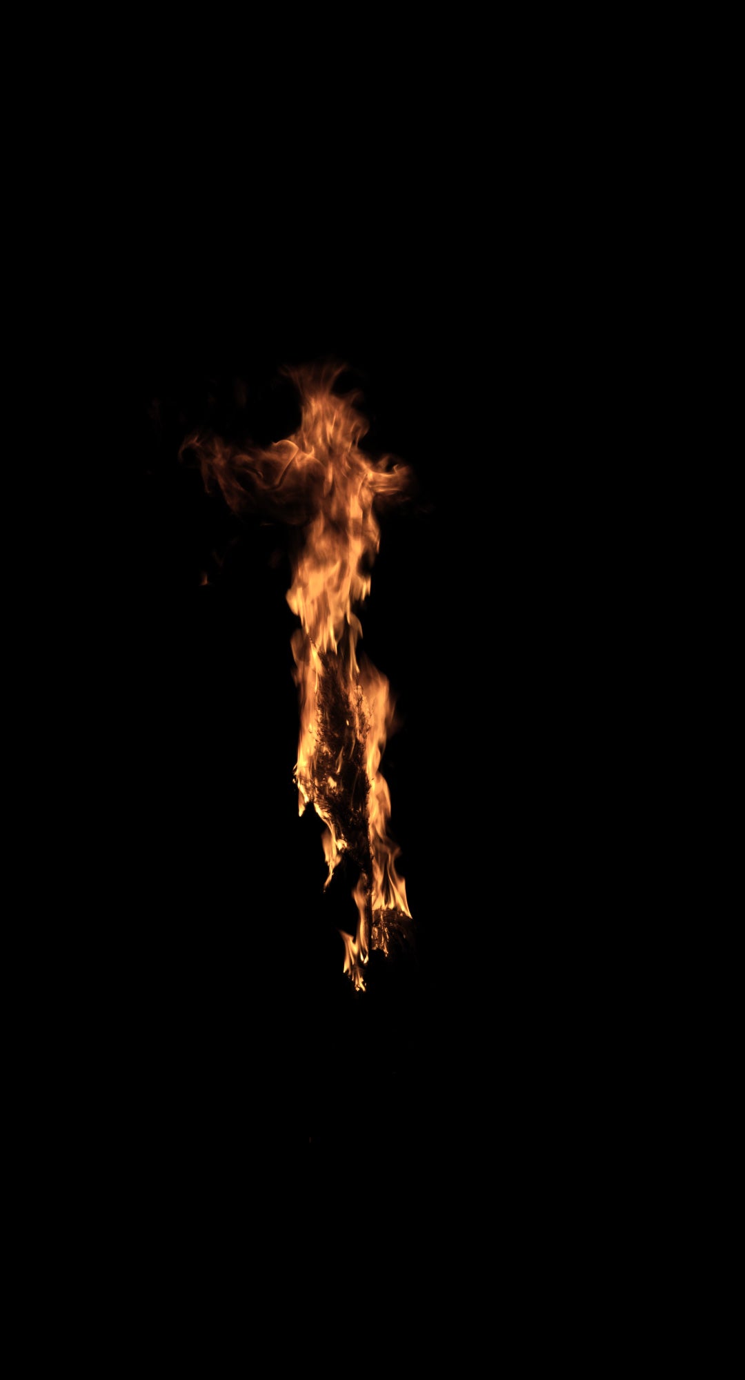 Branches Fire 02