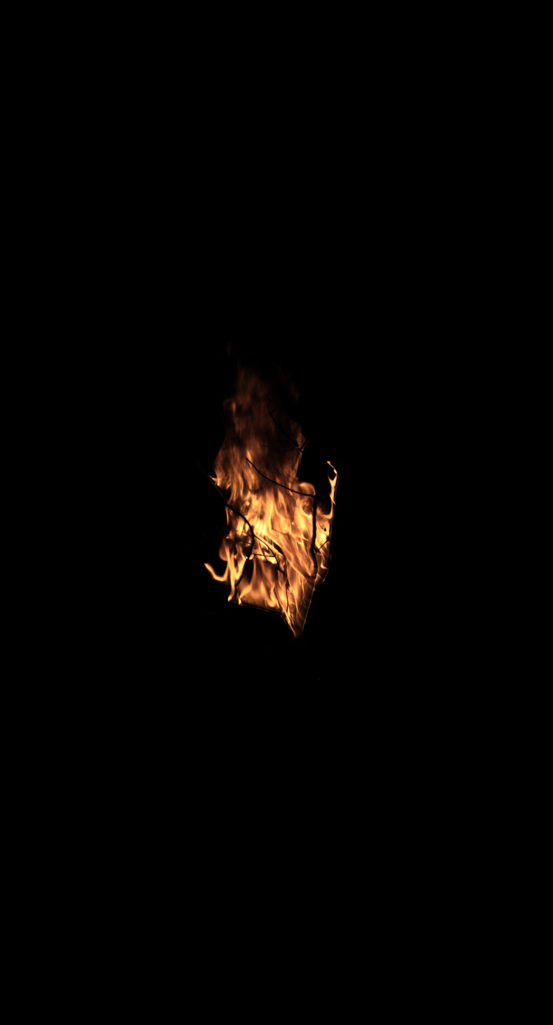 Branches Fire 03