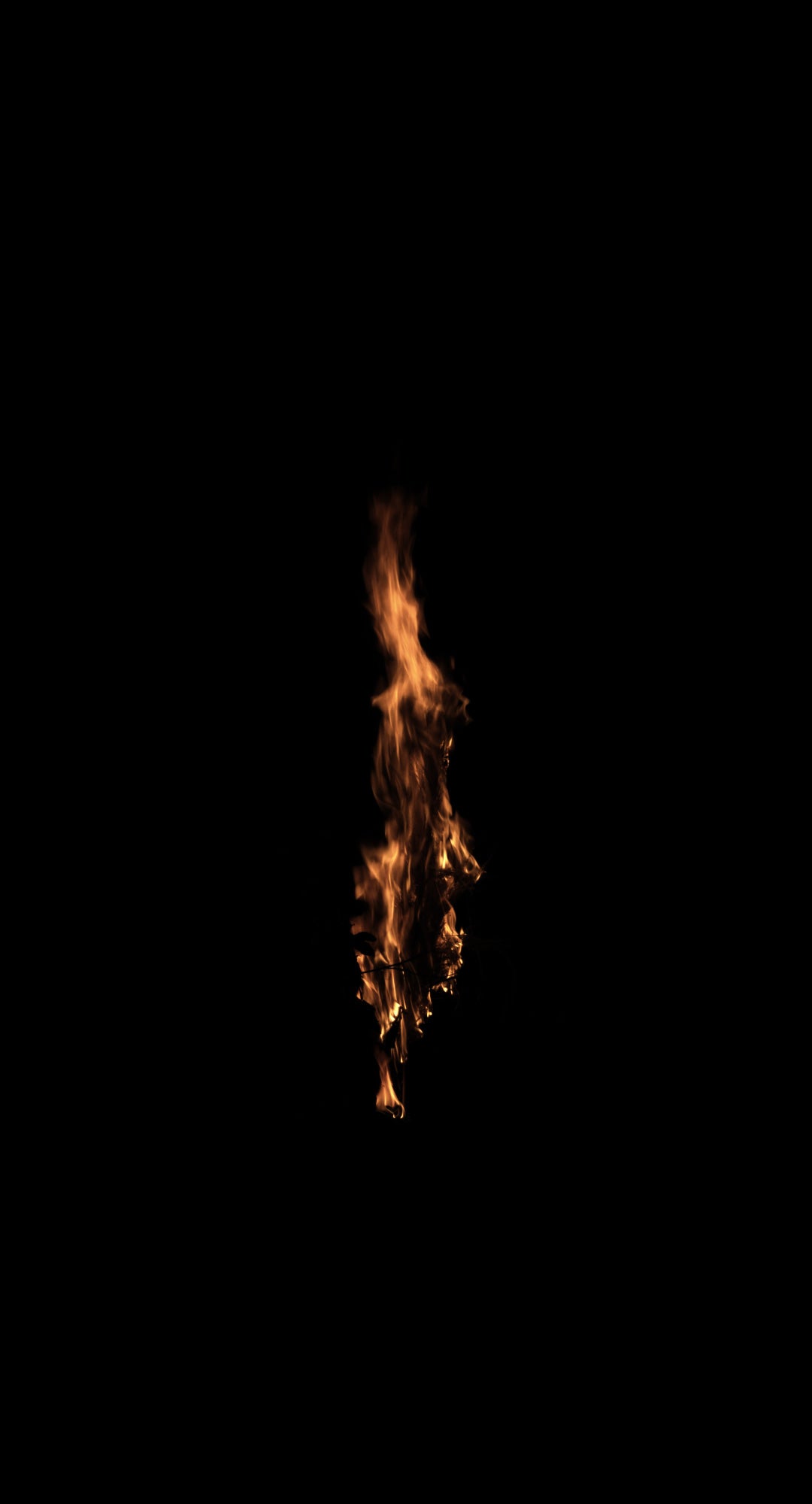 Branches Fire 04 A