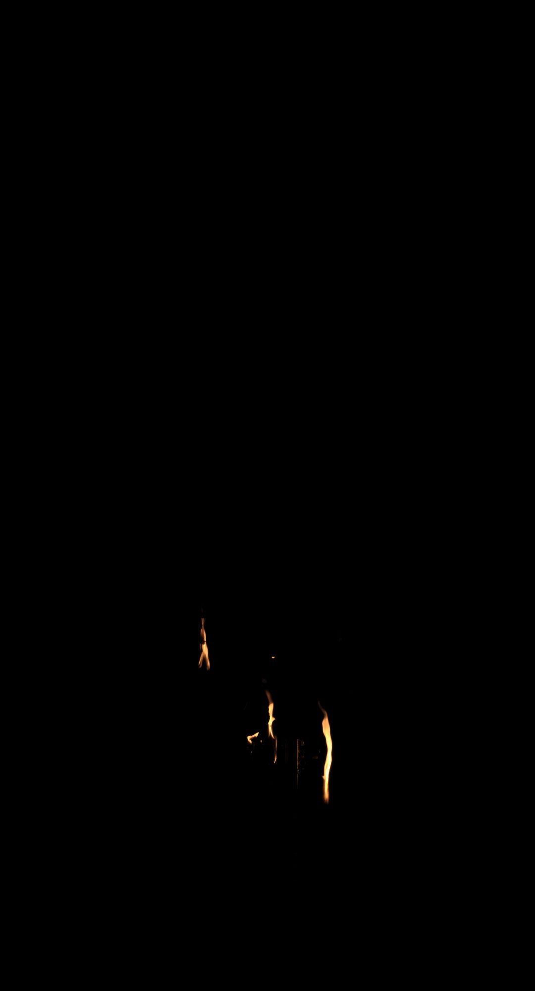 Branches Fire 07