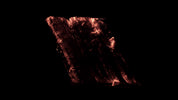 Burning Wood 01 C