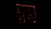 Burning Wood 10 B