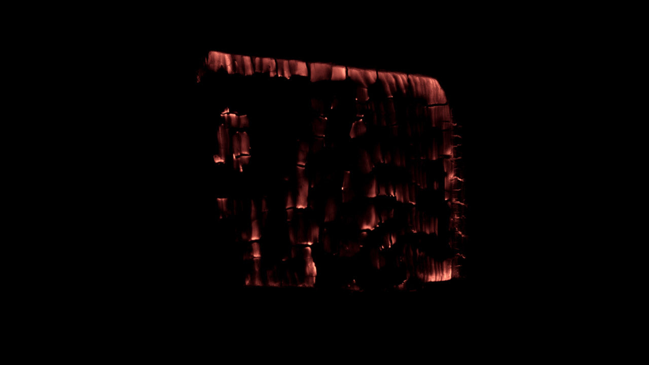 Burning Wood 10 B
