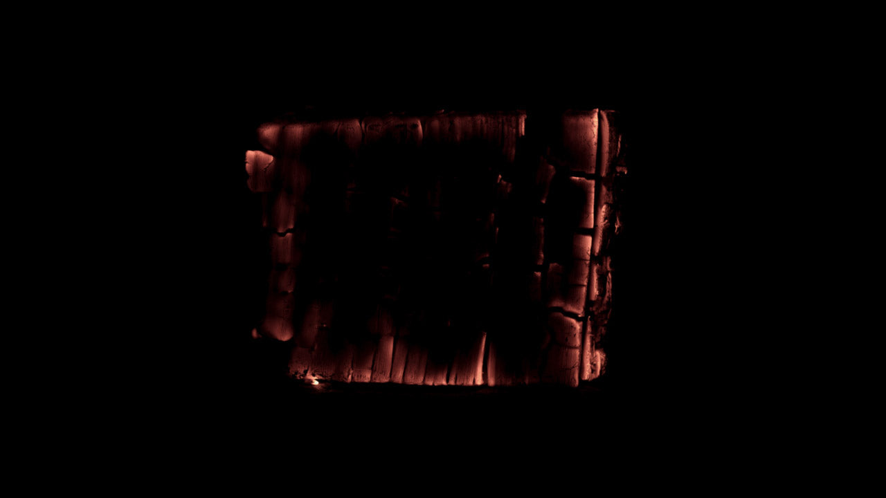 Burning Wood 13 B
