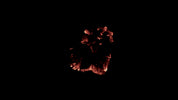 Burning Wood 14 A