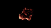 Burning Wood 14 C