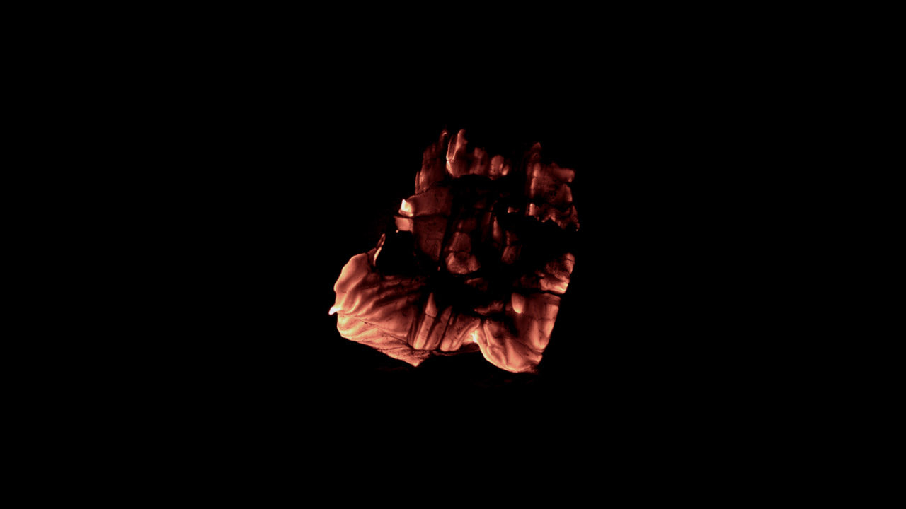 Burning Wood 14 C
