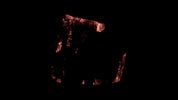 Burning Wood 15 B