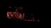 Burning Wood 17 A