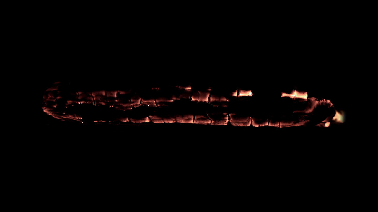 Burning Wood 20 B