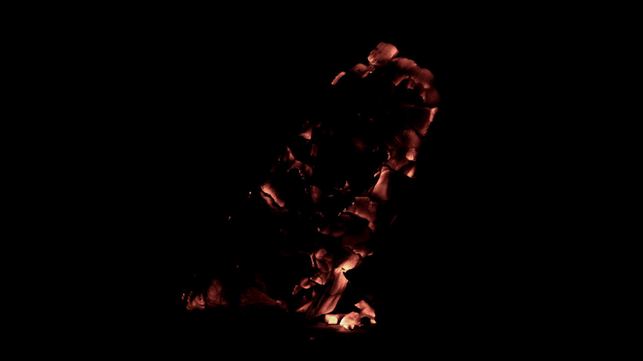 Burning Wood 21 A
