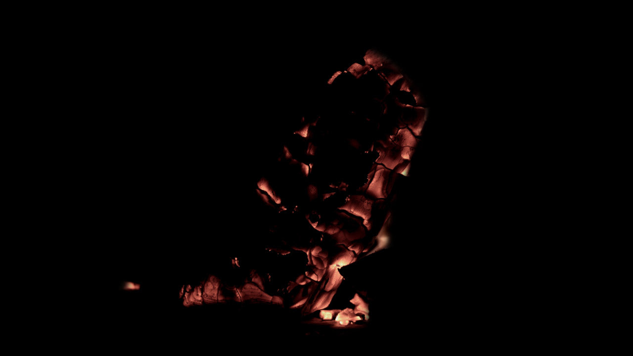 Burning Wood 21 B