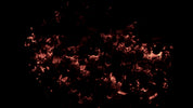 Burning Wood 23 A