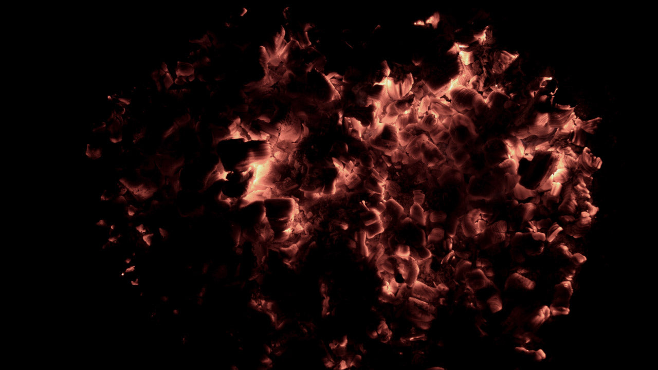 Burning Wood 23 C