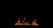 Large Ground Fire 10