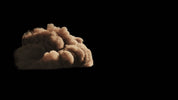 Sandstorm 001 SIDE ON
