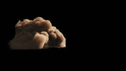 Sandstorm 002 SIDE ON