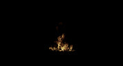 Small Ground Fire 01