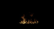 Small Ground Fire 09
