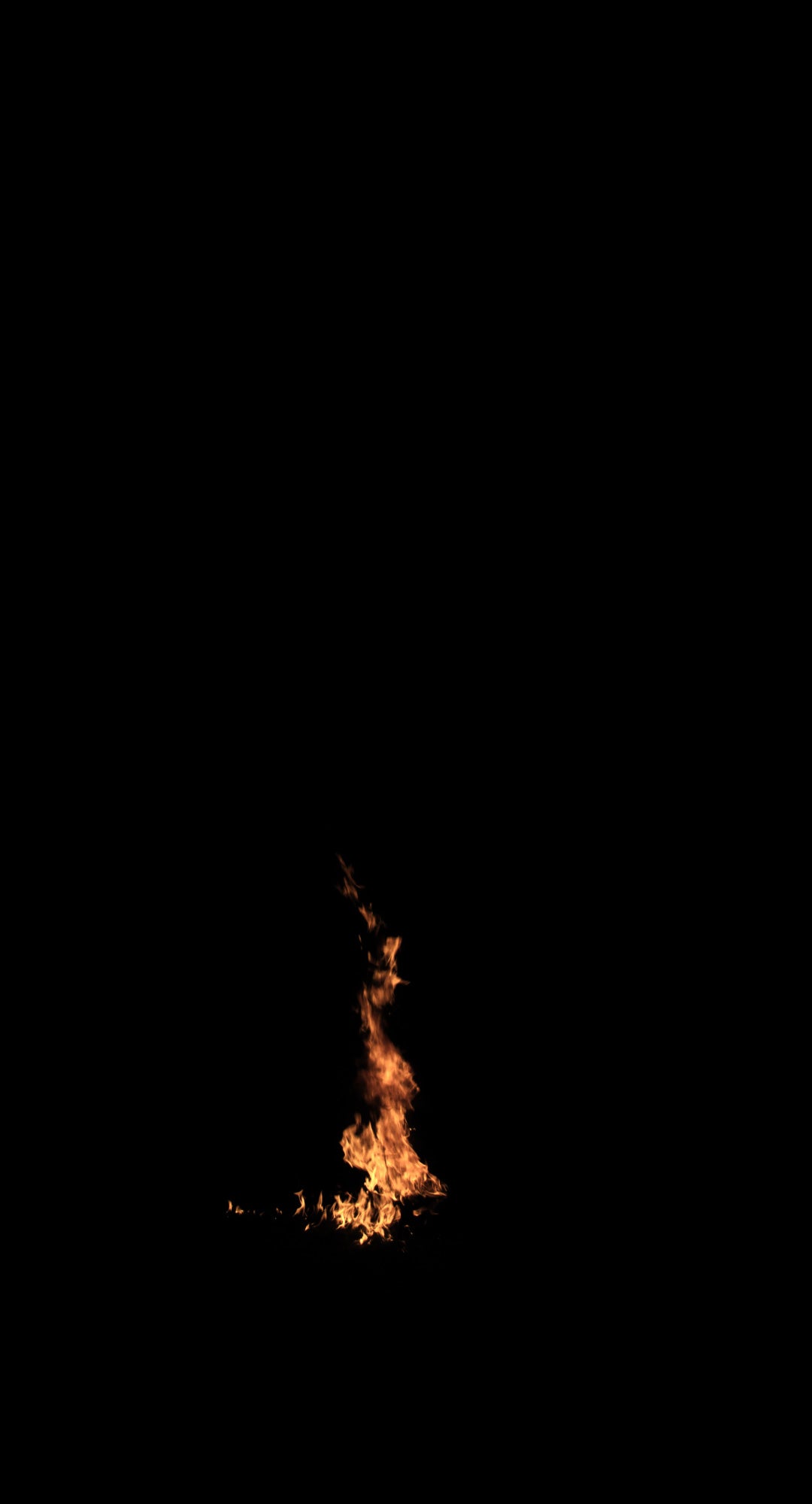 Tree Trunk Fire 02 A