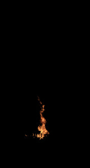 Tree Trunk Fire 02 A