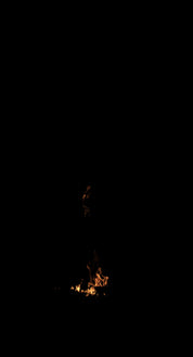 Tree Trunk Fire 02 B