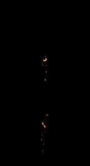 Tree Trunk Fire 03 A