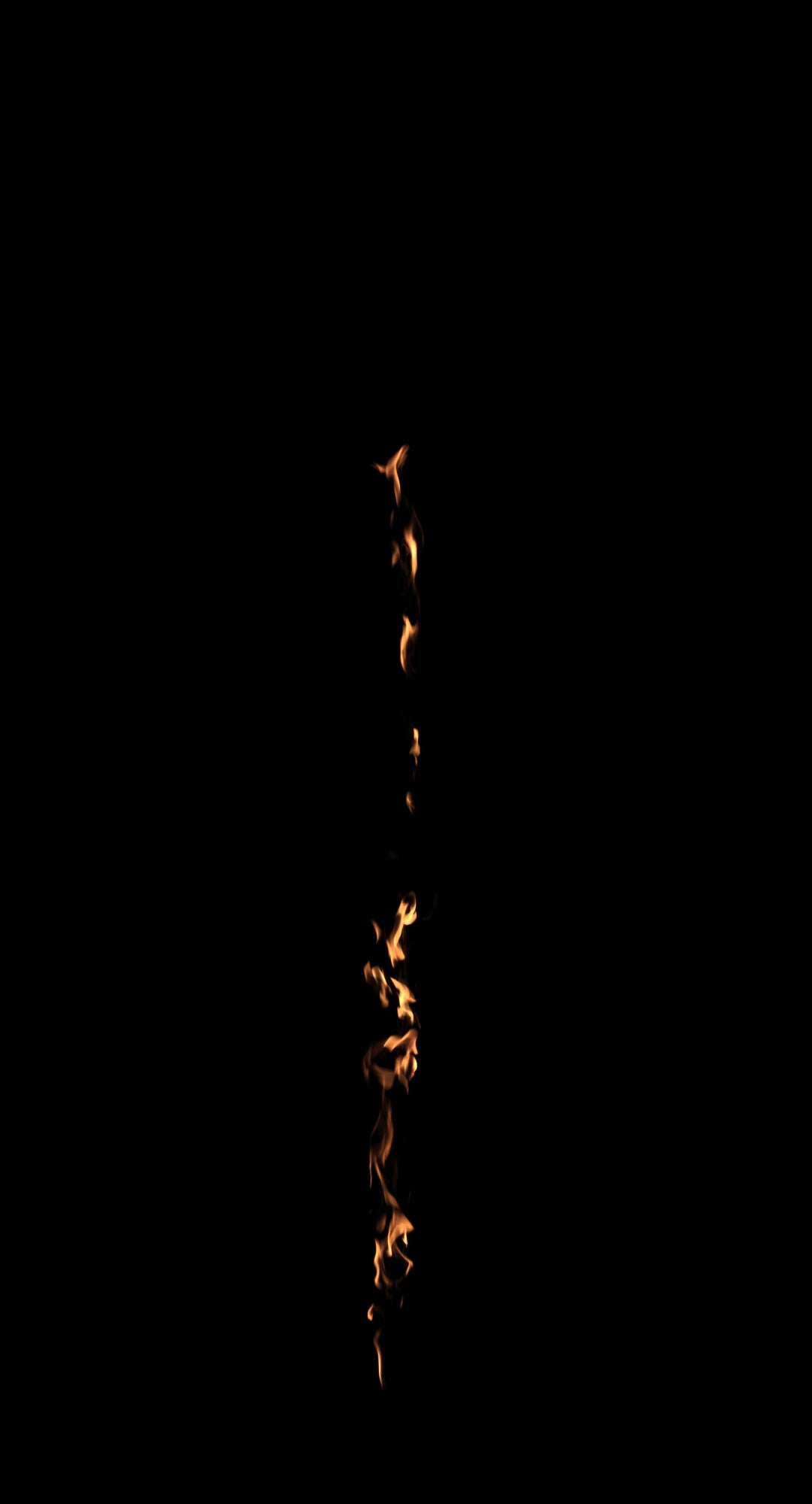 Tree Trunk Fire 03 D