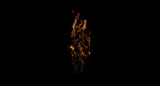 Wall Fire 03